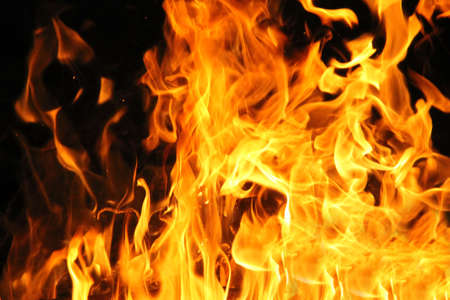 Fire flames on black background. The fire in the natural forest, flames and sparks on a dark background Fuel , lights on a black background.の写真素材