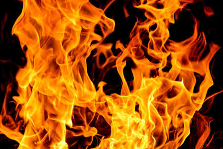 Fire flames on black background. The fire in the natural forest, flames and sparks on a dark background Fuel , lights on a black background.の写真素材