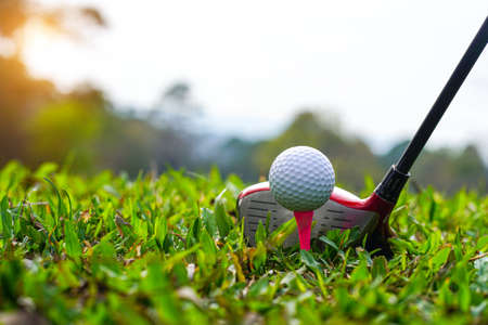 Golf clubs and golf balls on a green lawn in a beautiful golf course with morning sunshine. golf ball on green grass ready to hit on golf course background.の写真素材