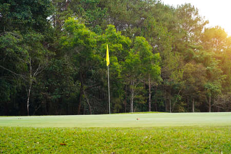 Top view of a golf course putting green with flag at hole.の写真素材