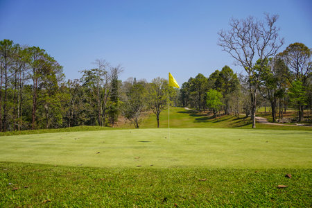 Top view of a golf course putting green with flag at hole.の写真素材