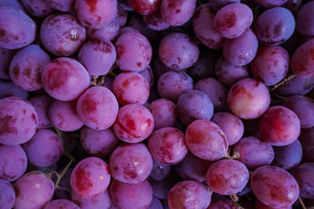 Close up of raw organic sweet red grapes background, wine grapes texture, Healthy fruits Red wine grapes background, top viewの写真素材