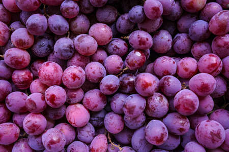 Close up of raw organic sweet red grapes background, wine grapes texture, Healthy fruits Red wine grapes background, top viewの写真素材