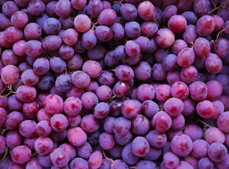 Close up of raw organic sweet red grapes background, wine grapes texture, Healthy fruits Red wine grapes background, top viewの写真素材