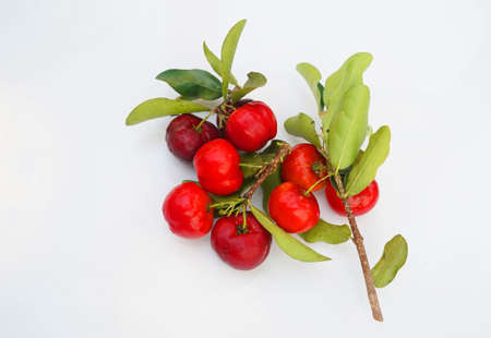 Fresh acerola fruit, typical from Brazil. Red organic Acerola Cherry with half slice and green leaves isolated on white background, High vitamin C and Antioxidant fruitsの写真素材