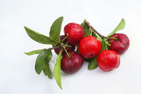 Fresh acerola fruit, typical from Brazil. Red organic Acerola Cherry with half slice and green leaves isolated on white background, High vitamin C and Antioxidant fruitsの写真素材