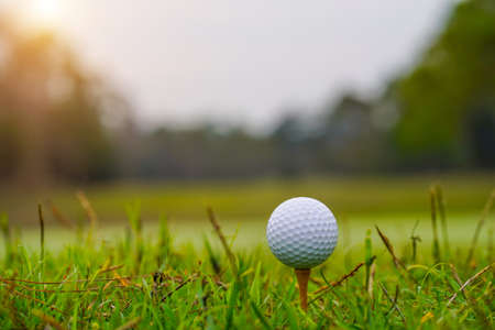 Golf ball on tee in beautiful golf course at sunset background.の写真素材