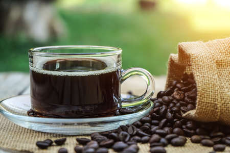 Hot Coffee cup and coffee beans roating on the wooden table beside green garden ranges in the morning sunrise.の写真素材