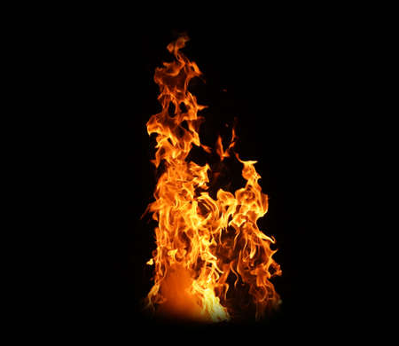 Fire flames on black background. abstract fire flame background. The fire in the fire burning naturally waved at night.の写真素材
