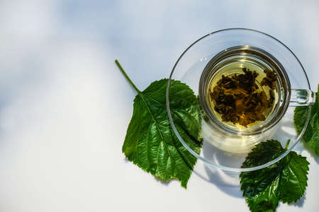Green tea in a glass cup with green leaves on a white backgroundの写真素材