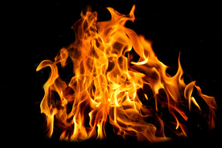 Fire flames on black background. The fire in the natural forest, flames and sparks on a dark...