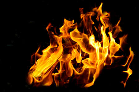 Fire flames on black background. The fire in the natural forest, flames and sparks on a dark background Fuel , lights on a black background.の写真素材