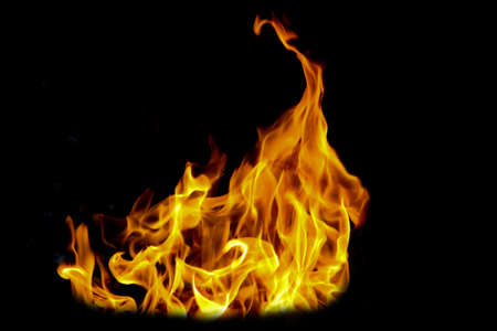 Fire flames on black background. The fire in the natural forest, flames and sparks on a dark background Fuel , lights on a black background.の写真素材