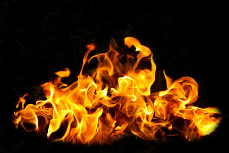 Fire flames on black background. The fire in the natural forest, flames and sparks on a dark background Fuel , lights on a black background.の写真素材
