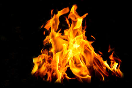Fire flames on black background. The fire in the natural forest, flames and sparks on a dark background Fuel , lights on a black background.の写真素材