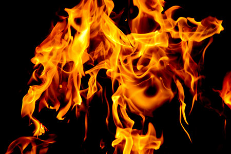 Fire flames on black background. The fire in the natural forest, flames and sparks on a dark background Fuel , lights on a black background.の写真素材