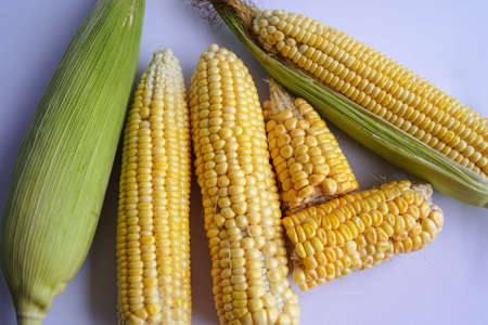 Cobs of ripe raw corn lay on a green banana leaf. Healthy summer food concept. Background, top view,...