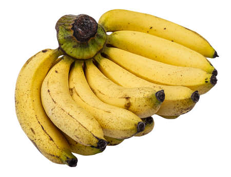 fresh yellow banana isolated on white background. Bunch of raw organic bananas isolated on white backgroundの写真素材