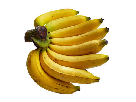 fresh yellow banana isolated on white background. Bunch of raw organic bananas isolated on white backgroundの写真素材