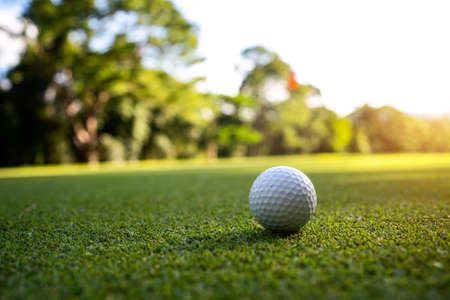 Close-up of golf ball on tee in beautiful golf course at sunset background. Ready for golf in the first short.の写真素材