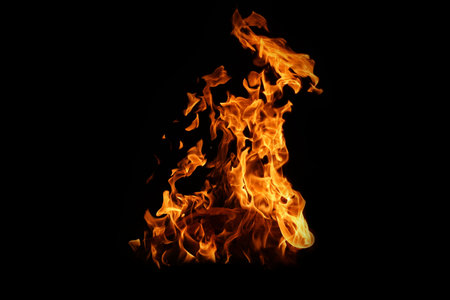 Fire flames on black background. abstract fire flame background. The fire in the fire burning...