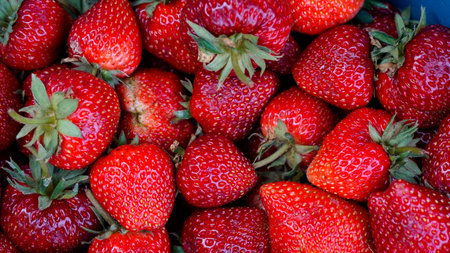 Fresh Strawberry Background, Perfect strawberries, ripe, fresh - food frame, background from freshly harvested strawberries, directly aboveの写真素材