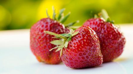 Red strawberries on white wooden table and farmland backgroundの写真素材