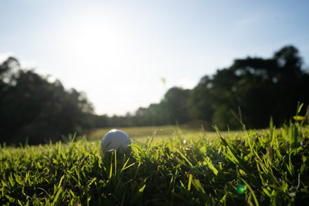Golf ball on green grass in golf course with blue sky backgroundの写真素材