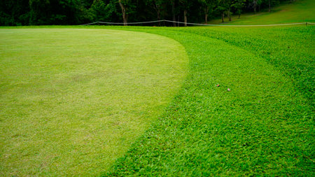 Beautiful golf course in a sunny day. Background evening golf course has sunlight shining down. Golf course in the countryside.の写真素材