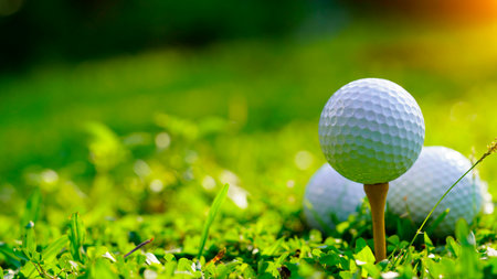 Golf ball on green grass in the evening golf course with sunshine background. Golf ball on the edge of hole on the green grass with warm tone and sunset.の写真素材