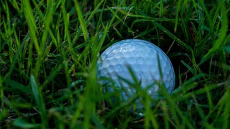 Golf ball is in the hazard area of the course. Golf ball is on tee at green lawn in a beautiful golf course with morning sunshine.の写真素材