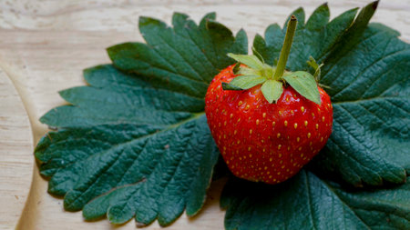 Fresh strawberries fruits on strawberry plants, red strawberries with leaves on wooden table and farmland backgroundの写真素材