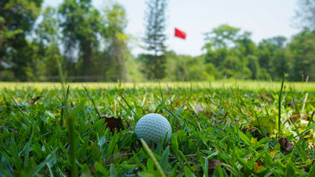 Golf ball on green grass in the evening golf course with sunshine background. Golf ball on the edge of hole on the green grass with warm tone and sunset.の写真素材