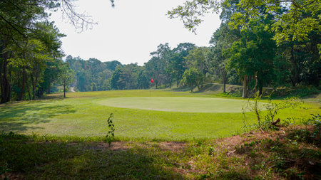 Green grass and woods on a golf field. View of Golf Course with beautiful putting green. Golf course with a rich green turf beautiful scenery.の写真素材