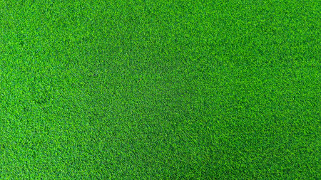 Green grass background, top view background of garden bright grass concept used for making green...
