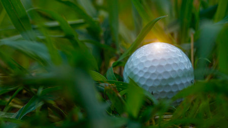 Golf ball is on the green lawn in a beautiful golf course with morning sunshine.の写真素材