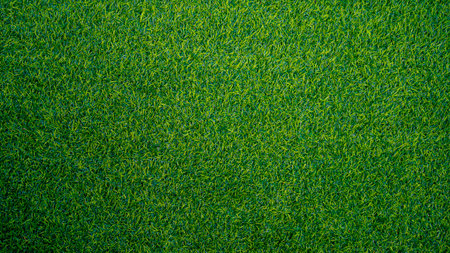 Green grass background, top view background of garden bright grass concept used for making green backdrop, lawn for sports field, golf course lawn green striped texture backgroundの写真素材