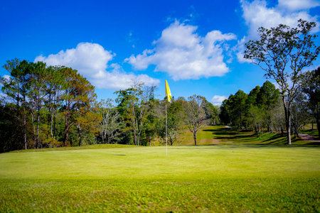 Background of evening golf course has sunlight shining down at golf course. Nice scenery on a golf course at a late summer afternoon.の写真素材