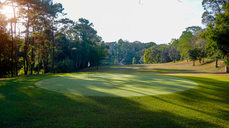 Green grass and woods on a golf field. View of Golf Course with beautiful putting green. Golf course with a rich green turf beautiful scenery.の写真素材