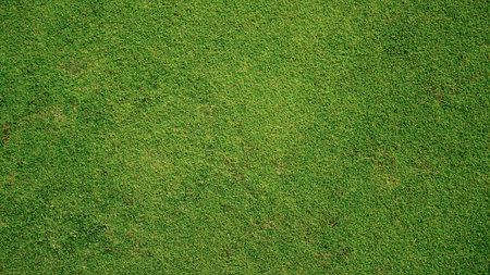 Green grass background, top view background of garden bright grass concept used for making green...