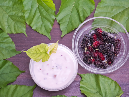 yogurt with mulberry mix and mulberry leaf with close up viewの写真素材