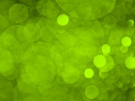 abstract bokeh background with green colorの写真素材