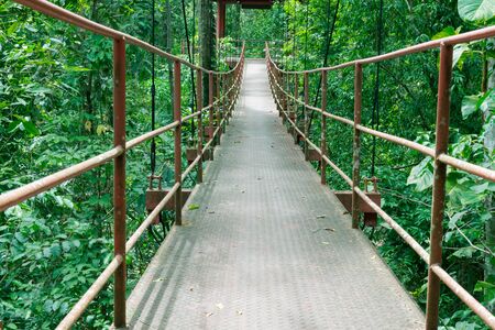 Tree Top Walk in thailandの写真素材