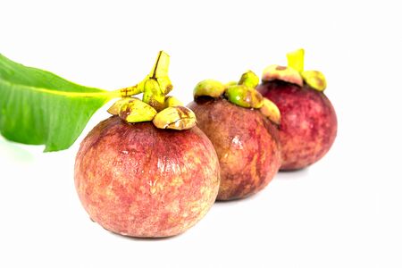 mangosteens isolated on white backgroundの写真素材