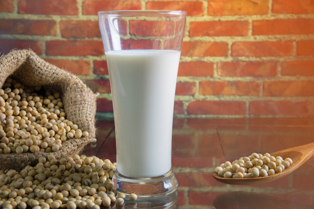 Soy Beans and Soy Milkの写真素材