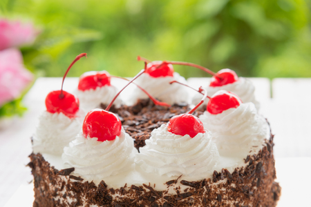 Black forest cake decorated with whipped cream and cherriesの写真素材