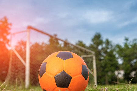 Orange soccer ball on the lawnの写真素材