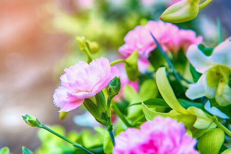 Close up detail of colorful wedding flower bouquetの写真素材
