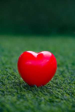 red heart and background : valentine day conceptの写真素材