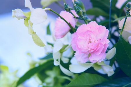 Close up detail of colorful wedding flower bouquetの写真素材
